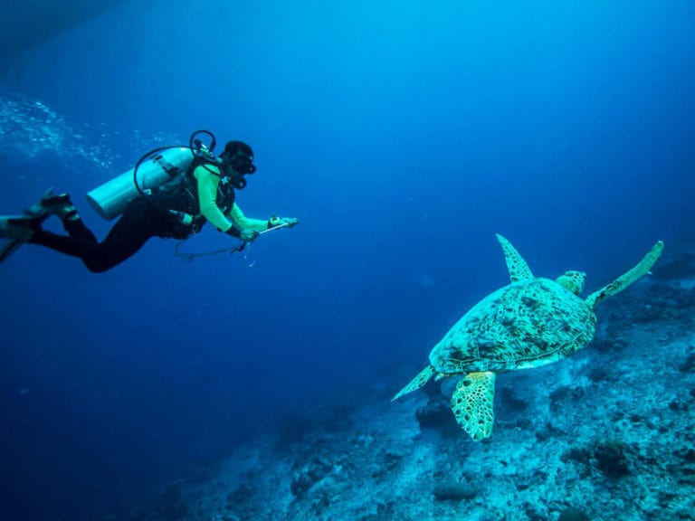 Scuba Diving Tenerife - Surf Life Tenerife - PADI, ProTec & Trydive